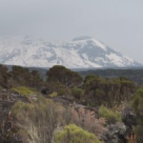 Uhuru Peak Kilimanjaro-Our Destination